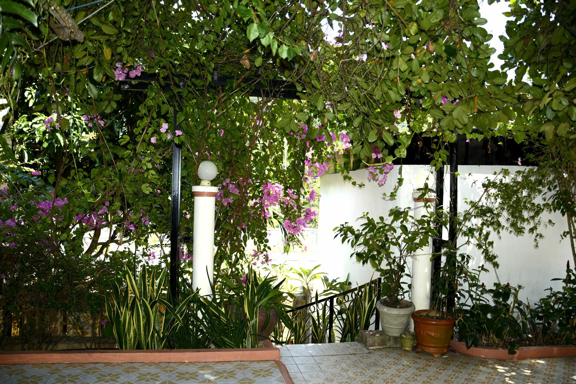 Tropical Hill Kep Cambodia Hotel Buitenkant foto