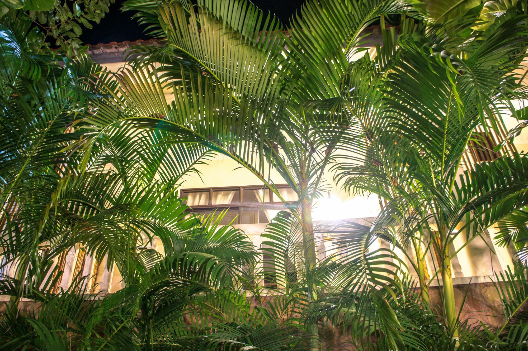 Tropical Hill Kep Cambodia Hotel Buitenkant foto
